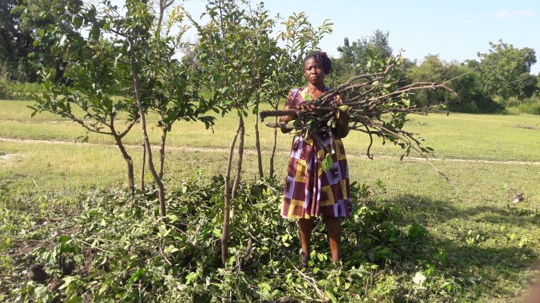 Restoration, Development and Transformation through Farmer Managed Natural Regeneration (FMNR)