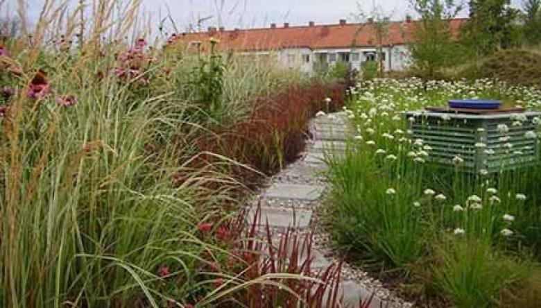 Storm water management and urban regeneration in Malmö