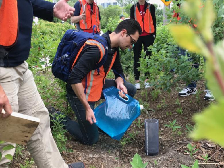 Citizen scientists assess the effects of design, climate and environment on bioswale function