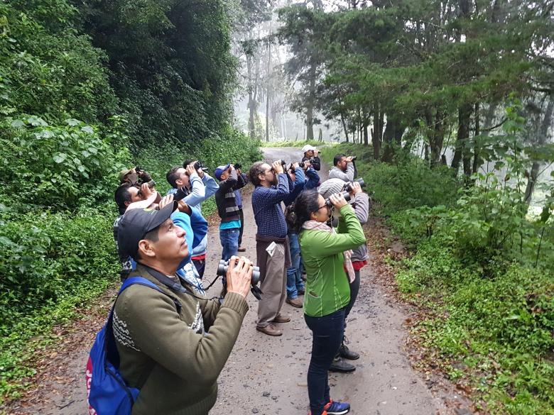 The Metropolitan Green Belt of Guatemala City: A green and blue network of protected nature for biodiversity and urban resilience