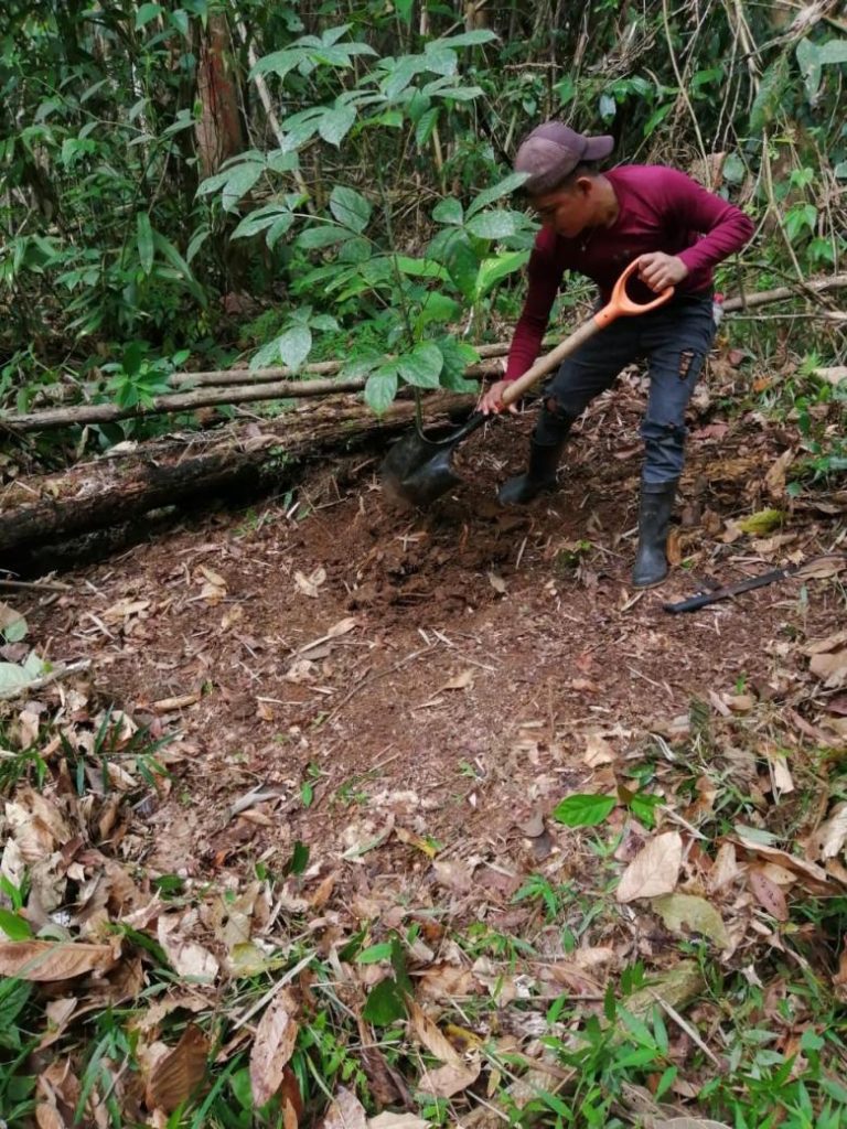 Restauración de paisajes productivos en los bosques secundarios de la Región Norte de Costa Rica