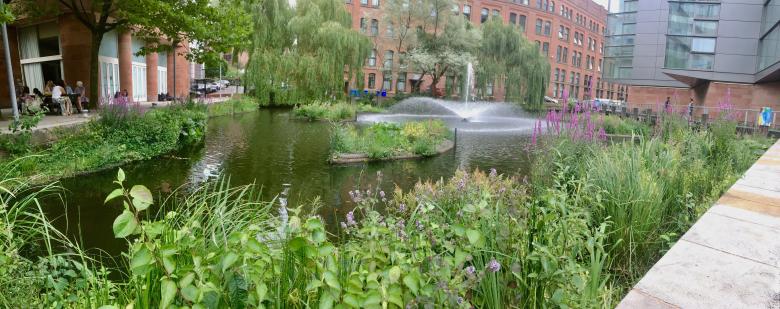 Floating ecosystems bring water to life