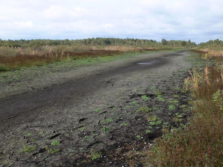 Belarus’ model for restoration of temperate peatlands