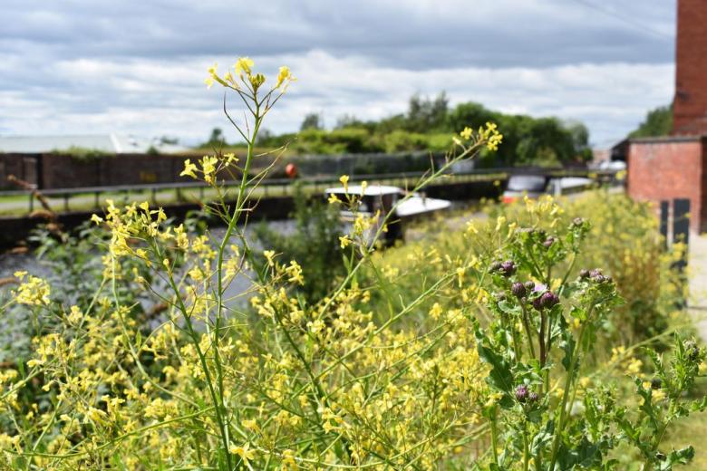 Smart Canals and Local Nature Reserves for North Glasgow