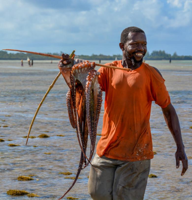 Octopus management - an entry point for collaborative fisheries management