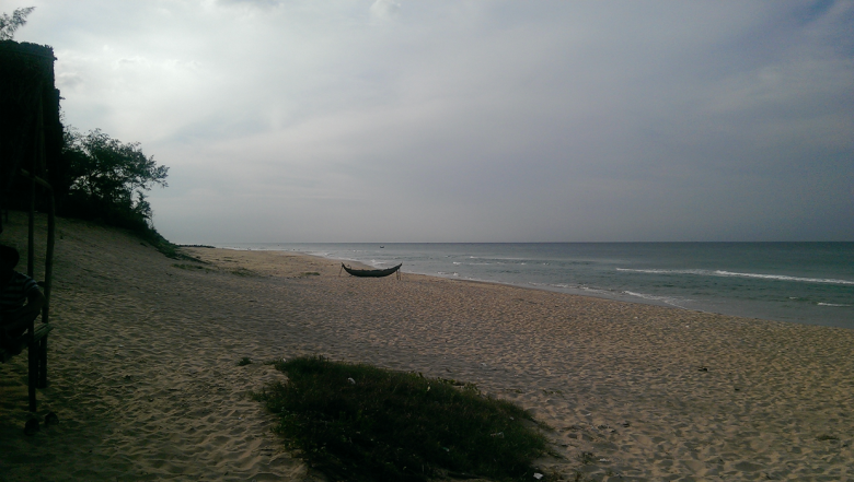 Reforestation and rehabilitation of sandy coastal protection forest along with short-term livelihoods development for local community