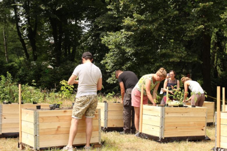 Converting and conserving urban green spaces for educational community gardening