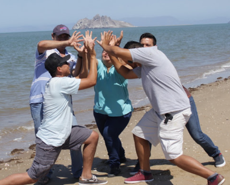 Mainstreaming the recovery of marine fisheries and ecosystems through collective action and science