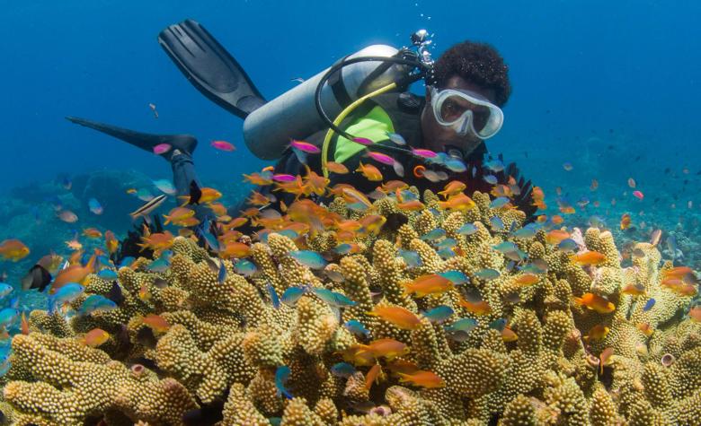 Addressing unsustainable fishing in Fiji through improvements to LMMA management