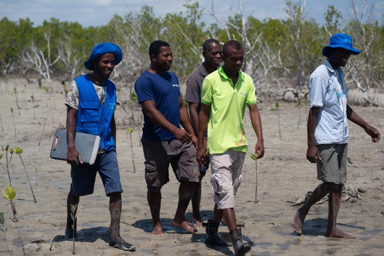 The Tahiry Honko project: Community-led mangrove management to protect coastal ecosystems and livelihoods in the Bay of Assassins, Southwest Madagascar. PATHFINDER AWARD 2021 WINNER