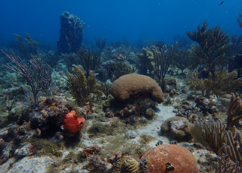 Colombia Subsystem of Marine Protected Areas (SMPA)