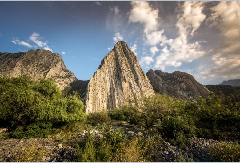 Cumbres de Monterrey: a dynamic partnership for strengthening the resilience of forest ecosystems