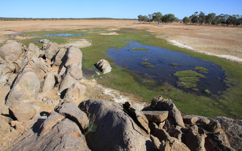 Artesian springs protection project