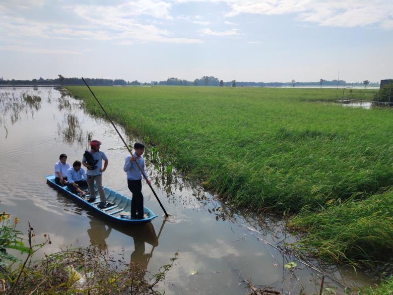 Flood-based agriculture in the Upper Mekong Delta