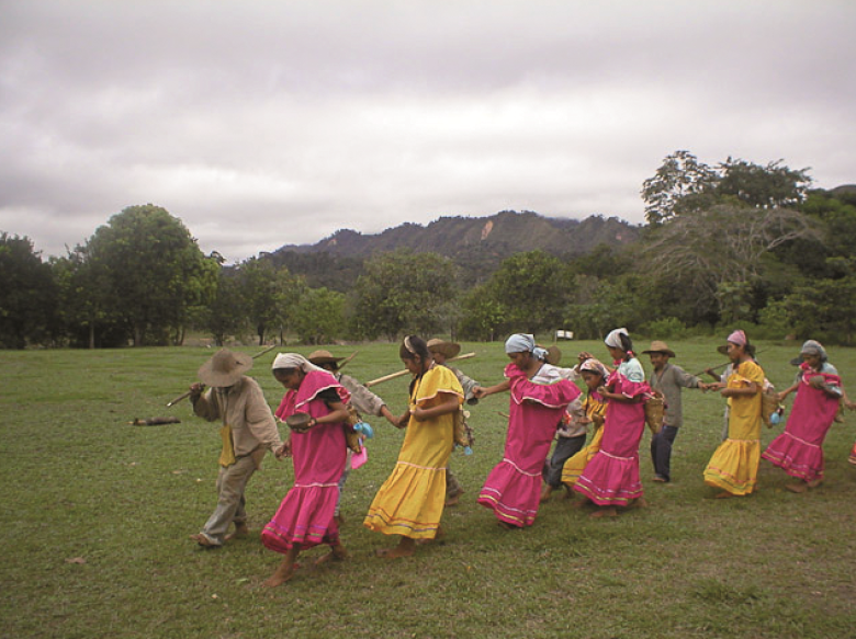 Indigenous participation to reduce emissions from deforestation