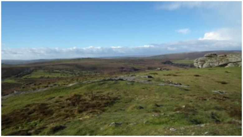 Dartmoor Mires Restoration Project