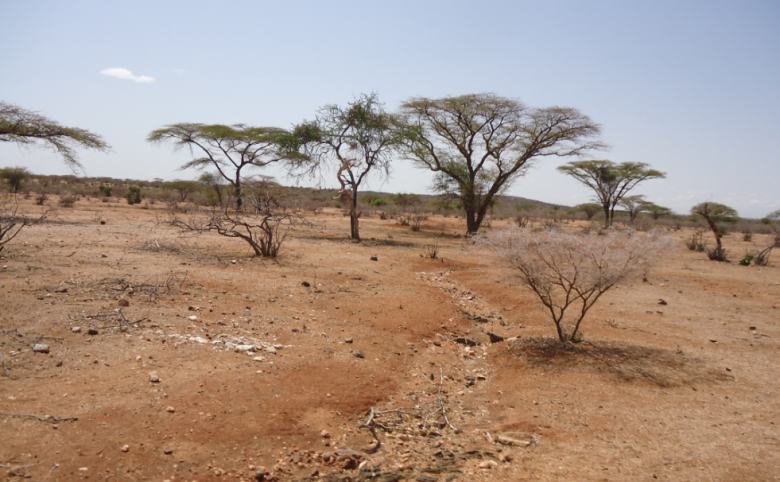 Holistic Grazing Land Management and Restoration