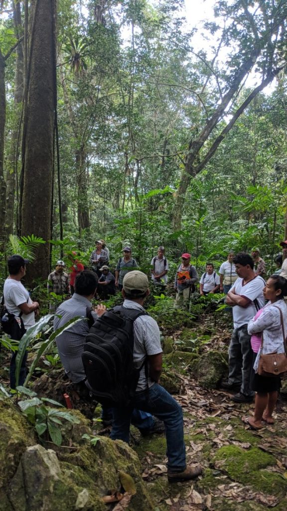 Community Empowerment and Resilience in the Chinantla: Building Capacity for Locally-Led Forest Monitoring