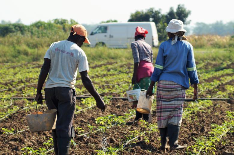 Engaging business on safety and environmental care in Mozambique