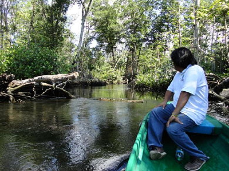 "Pesca Responsable": responding to climate change through sustainable responsible fishing  and mangrove rehabilitation