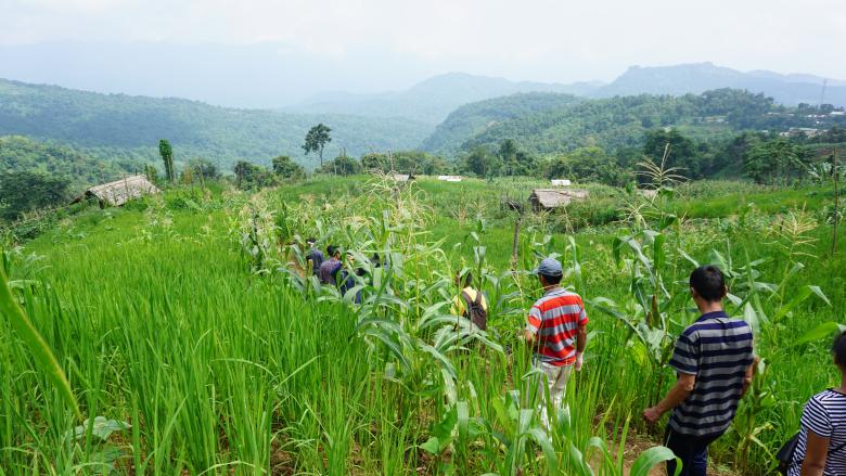 Developing awareness and skills of the land users on measures of Jhum intensification & optimization in Mizoram, India