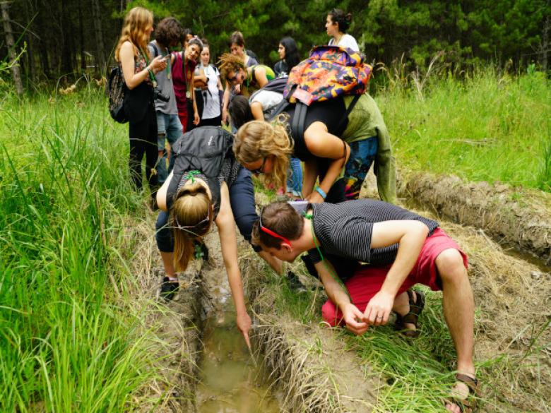 Nature for Youth and Cities: Reconnecting youth with nature through education, training and citizen science