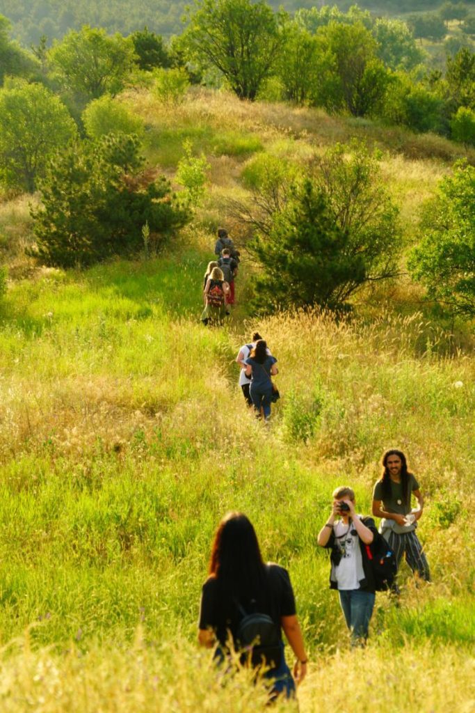 Bioblitz: Assessing urban biodiversity through citizen science in Ankara