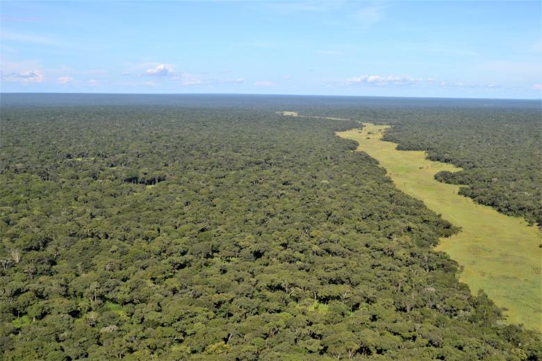 Implementing the ArcGIS Protected Area Management Solution for holistic landscape monitoring in the West Lunga ecosystem, Zambia.