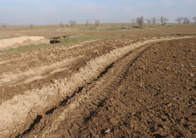 Integrated rain-fed farming of cereals for adaptation to climate change