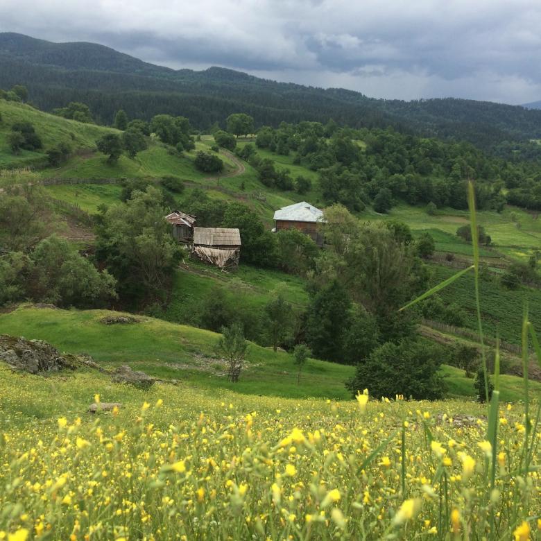 Community-based Landscape Conservation in Georgia