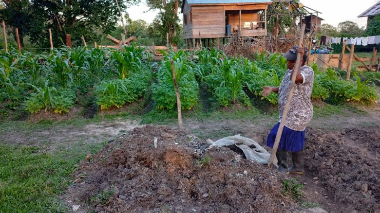 Sustainable Natural Resource Management under Climate Aspects in Indigenous Territories in La Mosquitia’