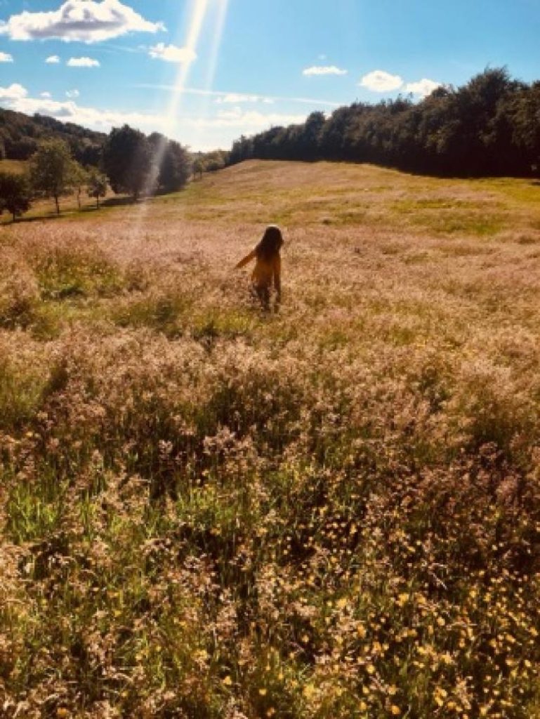 Fernbrae Meadows: the creation of a new urban park