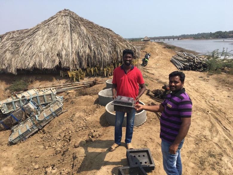 Mangrove crabs – an alternative livelihood project to help protect fishing cats and their globally important mangrove habitat in coastal South India