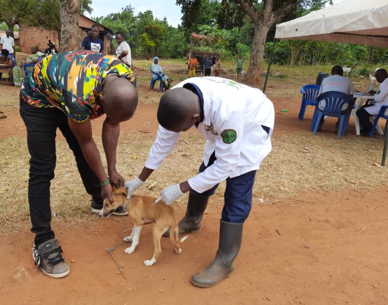 How Crop–livestock clinics are advancing One Health