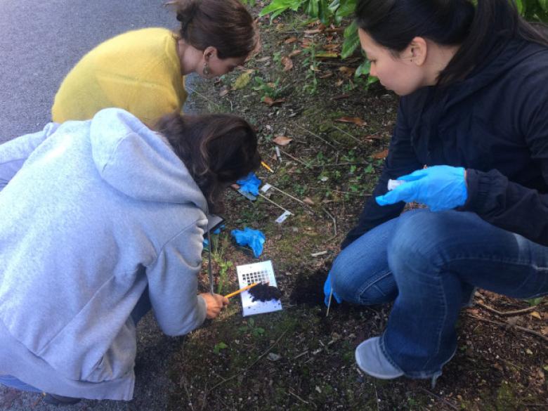 The effect of green spaces and urban trees on reducing flood risk