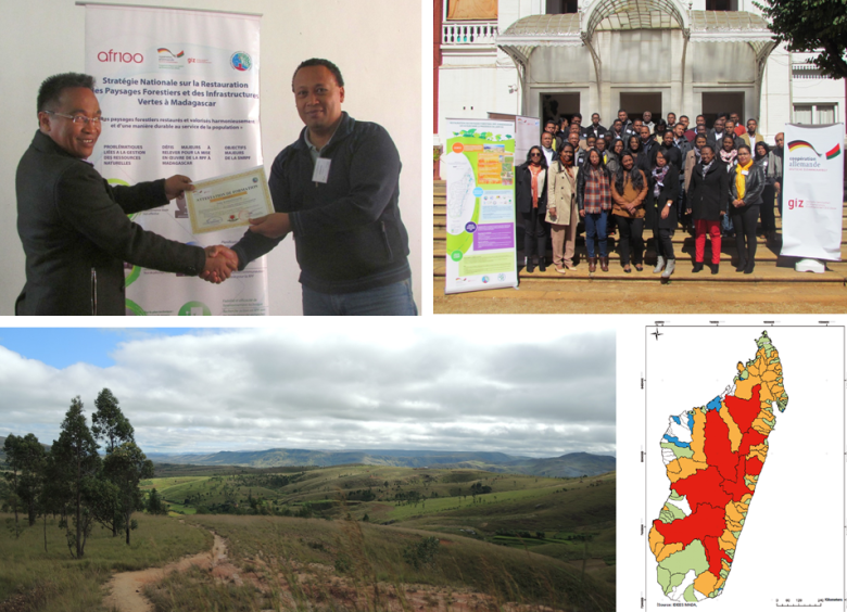 From international commitments to local implementation – the forest landscape restoration approach in Madagascar