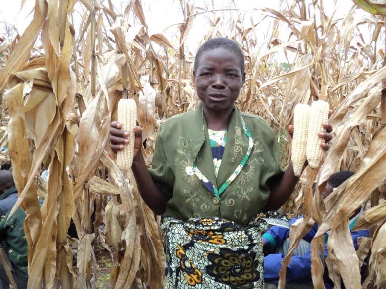 Strengthening Smallholder Resilience in Malawi