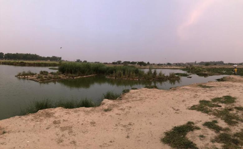 Water replenishment and treatment through Floating Treatment Wetland- A Nature-based Solution