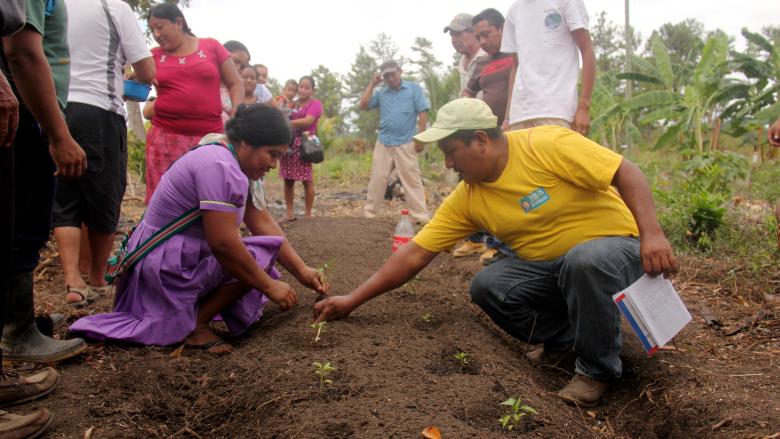 Indigenous Forest Conservation through Belize’s first Agro-forestry Concession