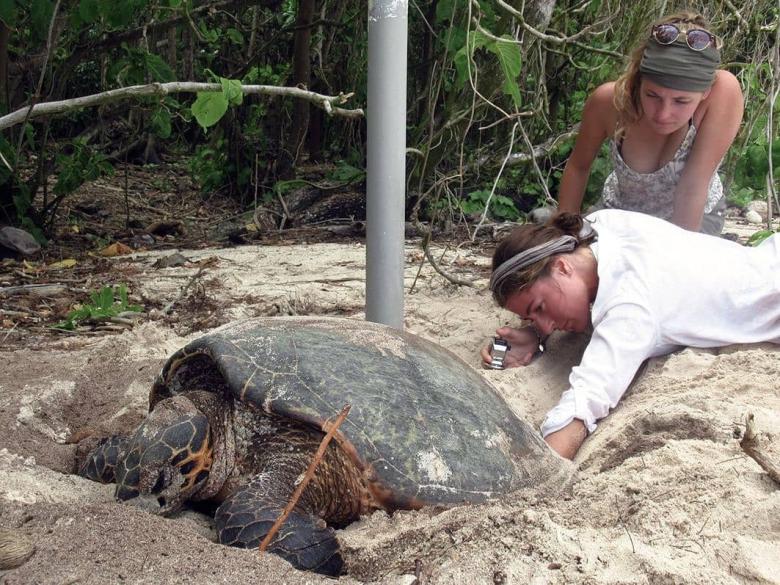 The World’s first Conservation Boot Camp