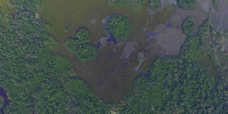 Restauración del manglar en tierras comunales y privadas bajo esquemas gubernamentales de manejo sustentable y conservación