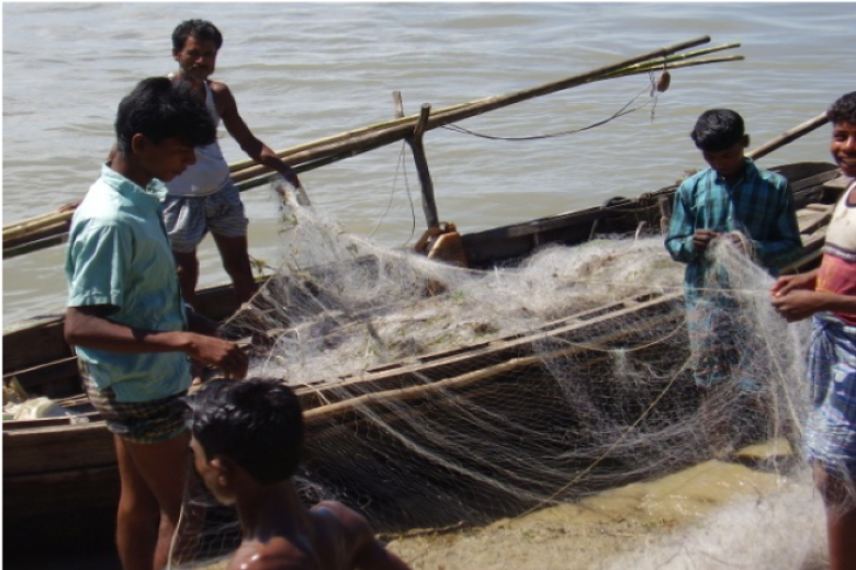 Incentive-based hilsa fisheries management