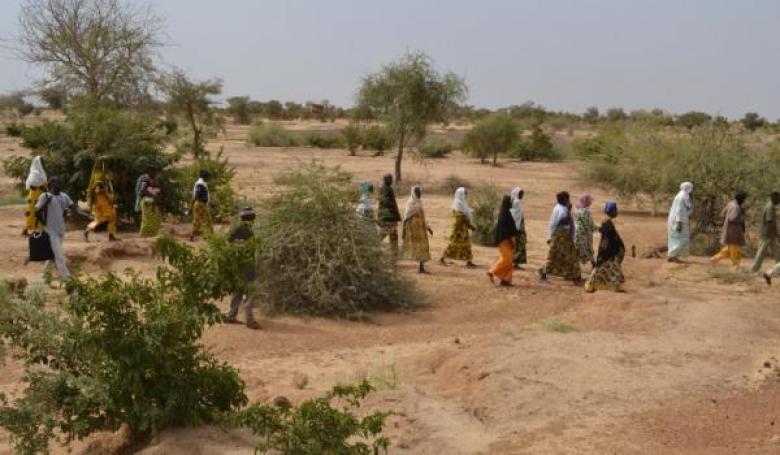 Spreading and sharing knowledge on organic farming in Burkina Faso