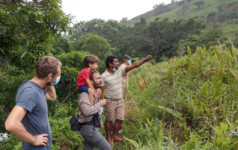 Testing new low-tech ecological restoration techniques within tribal communities in New Caledonia