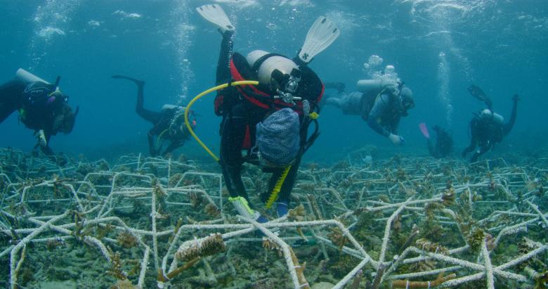 Mars Assisted Reef Restoration System