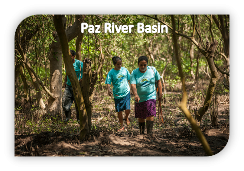 Strengthening community leadership for mangrove restoration and food security of the Paz River, El Salvador