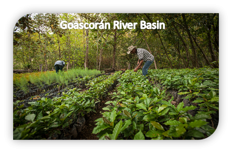 Governance for adaptation in the shared basin of the Goascorán River