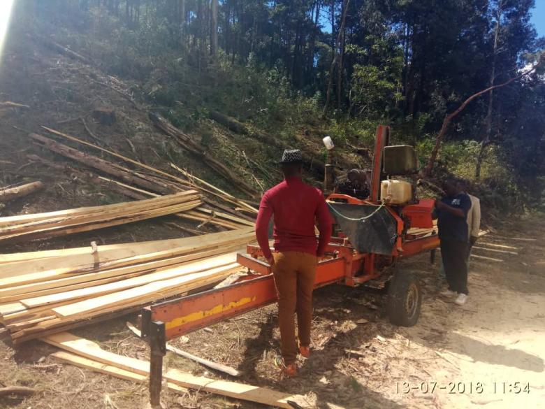 MTANDA COMMUNITY IN NTCHEU RESTORES 28 HECTARES AMID ECONOMIC TRANSFORMATION