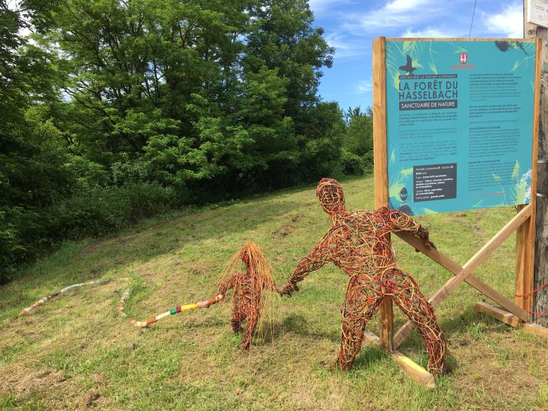 Creation of a network of nature sanctuaries in volunteer communes belonging to the Northern Vosges Regional Nature Park Creation of a network of nature sanctuaries in volunteer communes belonging to the Northern Vosges Regional Nature Park