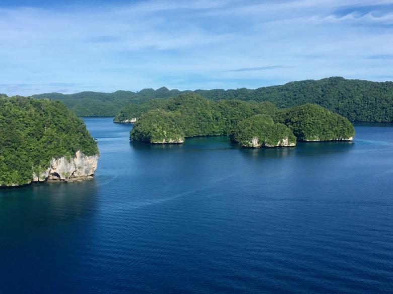 The Palau National Marine Sanctuary: Protecting a nation’s entire marine territory to ensure sustainable development, enhance food security, boost tourism and enrich biodiversity conservation